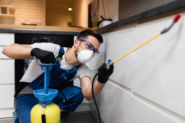 Best Mosquito Control Services  in Buckeystown, MD