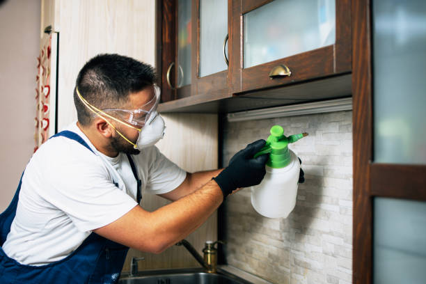 Best Termite Control Services  in Buckeystown, MD