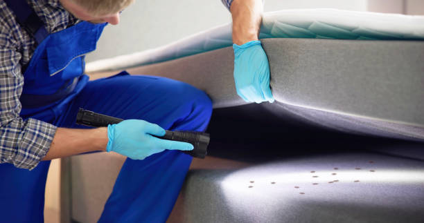 Best Wasp Removal Services  in Buckeystown, MD
