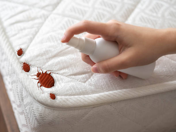 Best Pest Control Near Me  in Buckeystown, MD