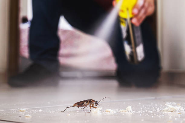 Best Pest Prevention Services  in Buckeystown, MD