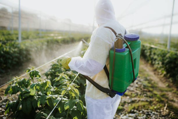 Wildlife Control Services in Buckeystown, MD